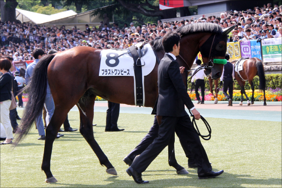 新潟記念 餌やり師大竹でも54kgブラストワンピースをローカルg3で負けさせないよね 競馬まとめざんまい