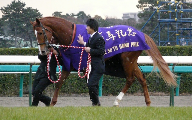 オルフェーヴルが種牡馬失敗した最大の要因 競馬まとめざんまい