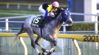 Thumbnail of related posts 153