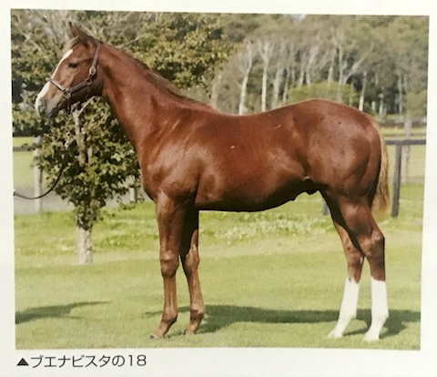 ブエナビスタの18の馬っぷりが凄いと話題に 競馬まとめざんまい