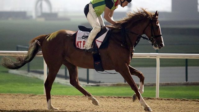 Thumbnail of post image 062