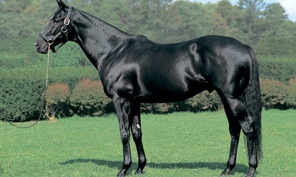 Thumbnail of post image 076