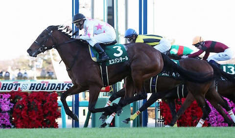 Thumbnail of post image 176