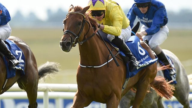 Thumbnail of post image 120