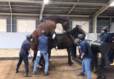 Thumbnail of post image 075