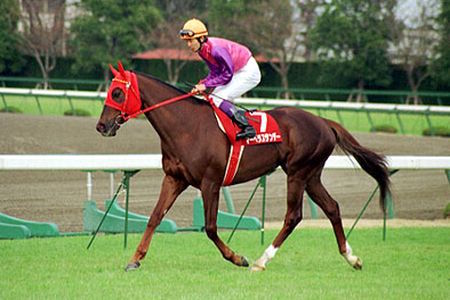 Thumbnail of post image 102