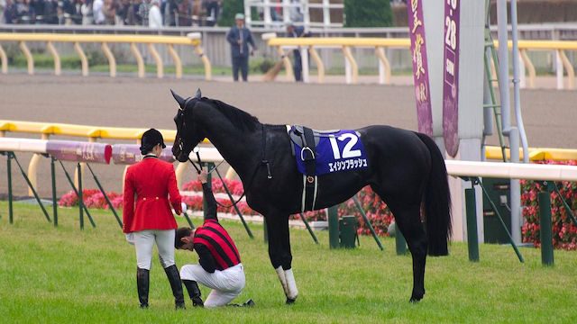 Thumbnail of post image 178