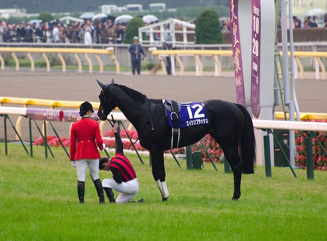 ã‚¨ã‚¤ã‚·ãƒ³ãƒ•ãƒ©ãƒƒã‚·ãƒ¥ã£ã¦å¼·ã‹ã£ãŸã® ç«¶é¦¬ã¾ã¨ã‚ã–ã‚