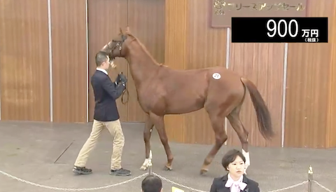 Thumbnail of post image 056