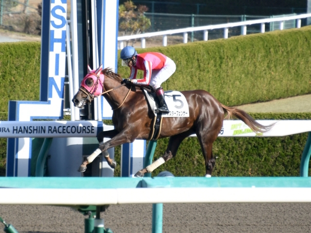 日本馬3頭目★米国ケンタッキーダービーにマスターフェンサーが挑戦！ 競馬まとめざんまい