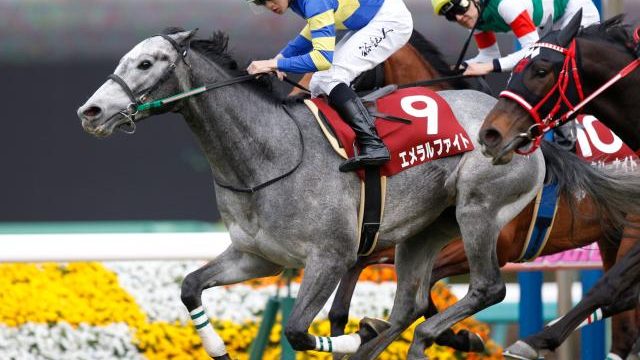 Thumbnail of post image 139