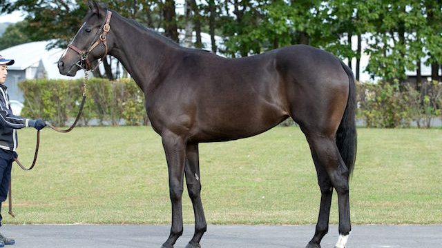 Thumbnail of post image 121