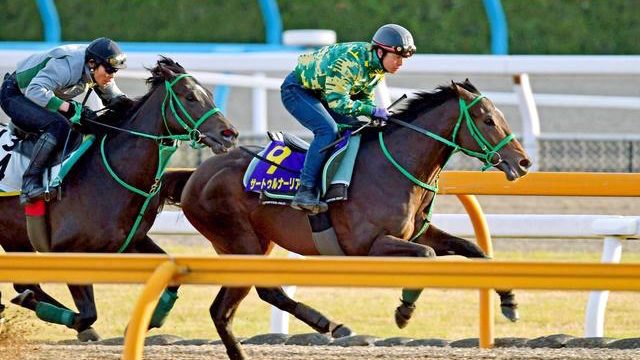 Thumbnail of post image 000