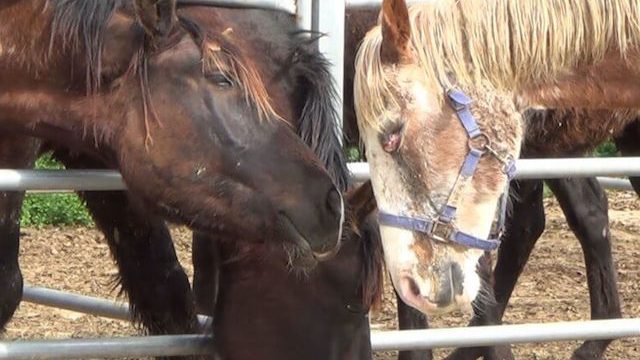 Thumbnail of post image 038