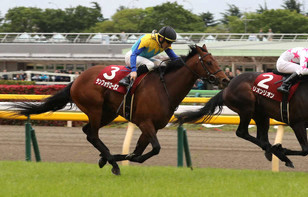 Thumbnail of post image 113