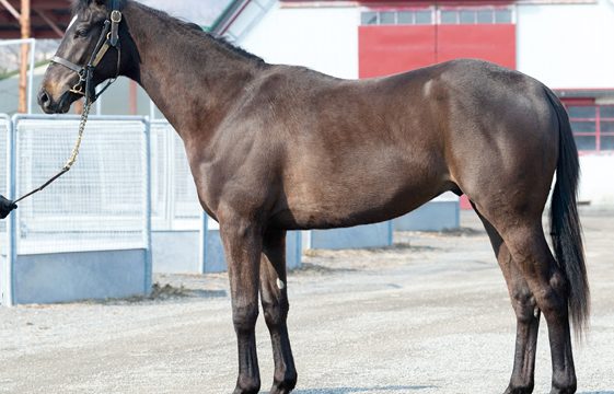 Thumbnail of post image 087