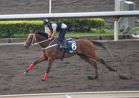 Thumbnail of post image 041