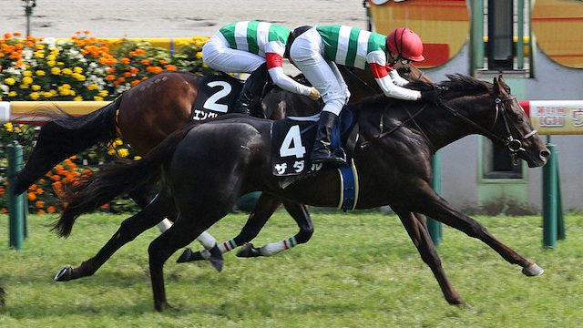 Thumbnail of post image 120