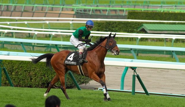 Thumbnail of post image 101