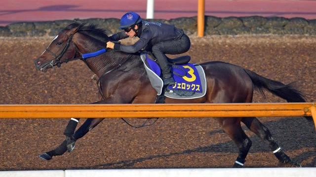 Thumbnail of post image 112