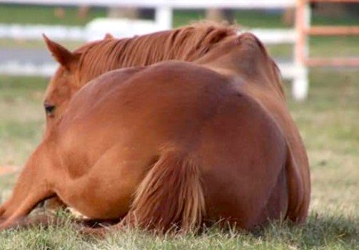 Thumbnail of post image 187