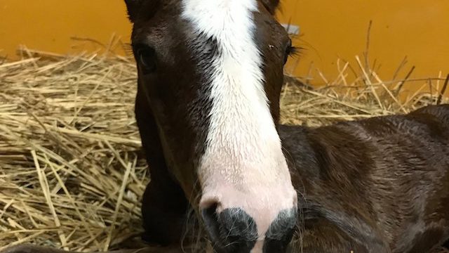 Thumbnail of post image 048