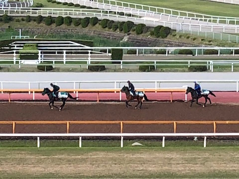 Thumbnail of post image 114