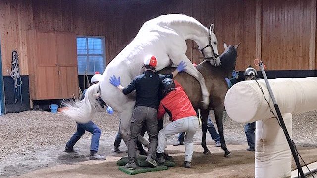 Thumbnail of post image 164