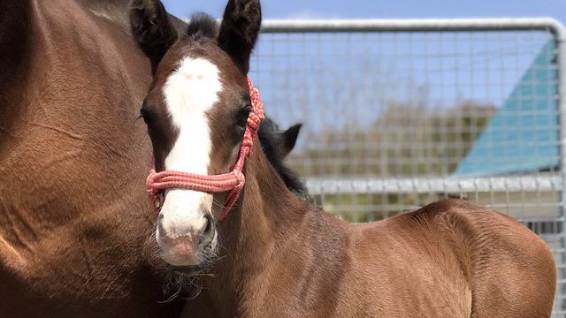 Thumbnail of post image 074