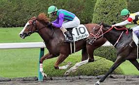 Thumbnail of post image 067