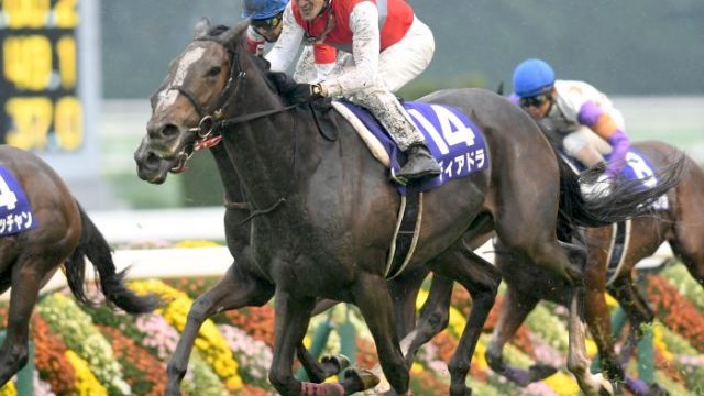 Thumbnail of post image 119