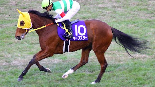 Thumbnail of post image 160