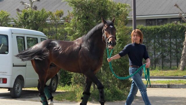 Thumbnail of post image 040