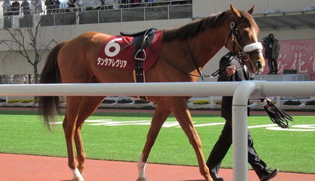 Thumbnail of post image 178