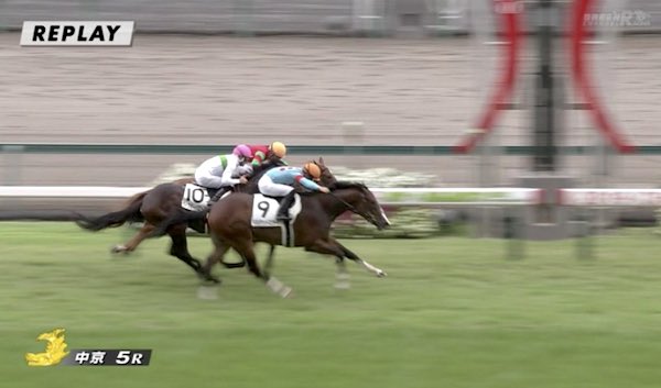 Thumbnail of post image 171