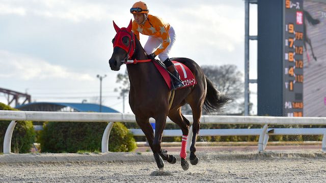 Thumbnail of post image 027