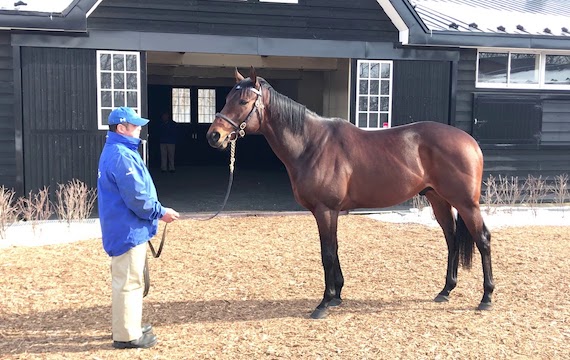 Thumbnail of post image 013