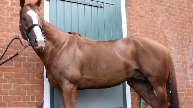 Thumbnail of post image 183