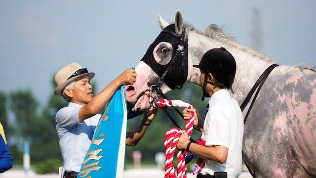 Thumbnail of post image 068