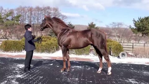 Thumbnail of post image 084