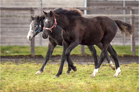 Thumbnail of post image 023