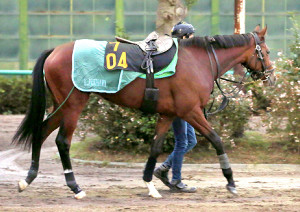 Thumbnail of post image 011