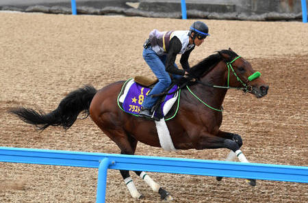 【悲報】ブラストワンピース馬体重過去最高の570kgwwwwww | 競馬 ...