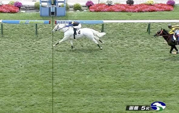 白毛馬ソダシ強すぎワロタｗｗｗｗｗｗｗｗｗ 競馬まとめざんまい