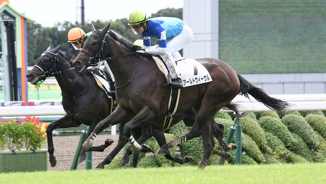 キンカメ最後の大物 アールドヴィーヴル強すぎワロタwwwwwwww 競馬まとめざんまい