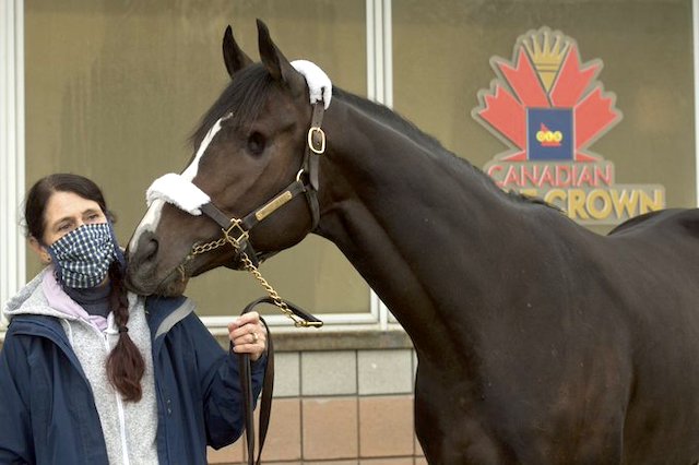 片目を失った馬マイティハートと福元大輔騎手 もうひとつの三冠挑戦 競馬まとめざんまい