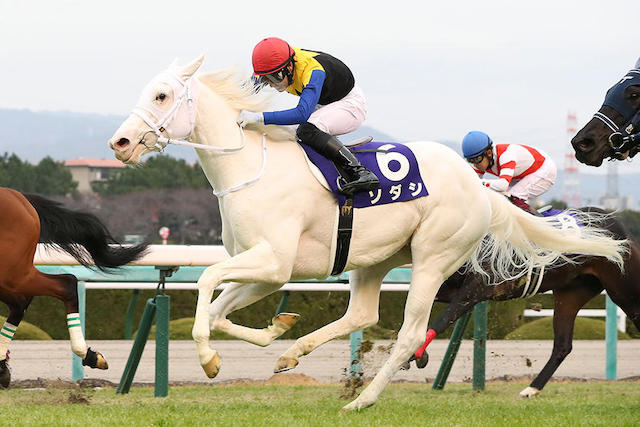 ソダシって2歳終了時点では歴代最強牝馬なんじゃないの 競馬まとめざんまい